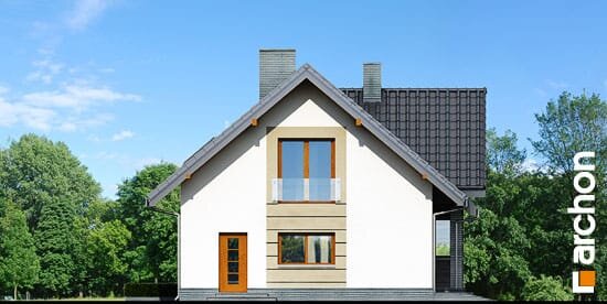 Проект дома Дом в спатифиллуме вер.2 - 5 С мансардным этажом дома в Украине