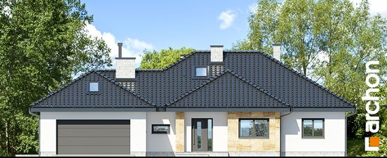 Проєкт будинку Будинок в акебіях 5 - З мансардним поверхом дома в Україні