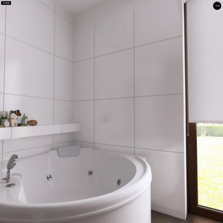 Проєкт будинку U252 - Одноповерхові дома в Україні