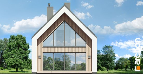 Проєкт будинку Будинок в папаверах - З мансардним поверхом дома в Україні