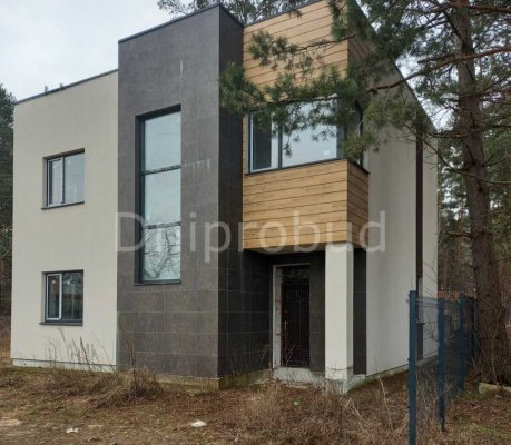 Два двоповерхових будинки у с. Воропаїв