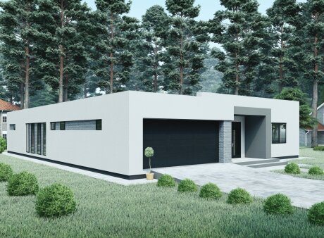 Проєкт будинку DBT 347