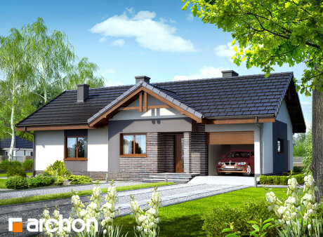 Проект дома Дом в неринах вер.2