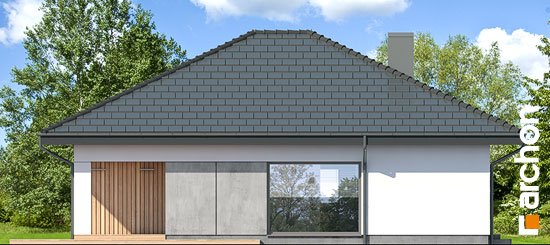 Проєкт будинку Будинок в хакетіях 6 - Одноповерхові дома в Україні