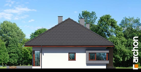 Проект дома Дом под красной рябиной (Н) вер.2 - 5 Одноэтажные дома в Украине