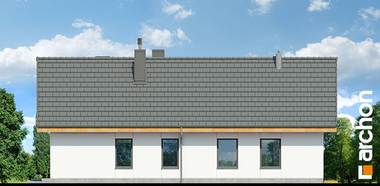 Проєкт будинку Будинок під сверками - Одноповерхові дома в Україні