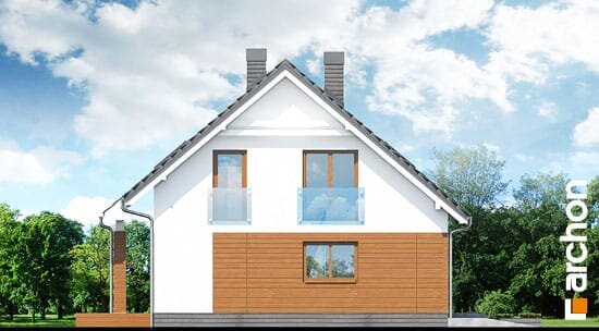 Проєкт будинку Будинок в яблонках (Т) - З мансардним поверхом дома в Україні