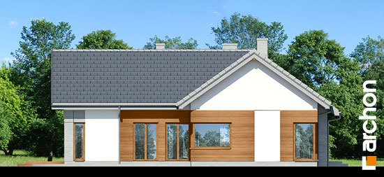 Проєкт будинку Будинок в галах - Одноповерхові дома в Україні