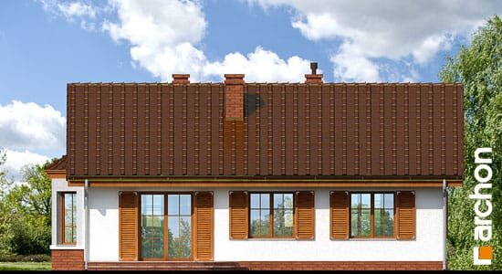 Проект дома Дом в ежевике 2 вер.2 - 6 Одноэтажные дома в Украине