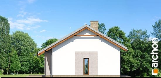 Проект дома Дом в овсянницах - 5 Одноэтажные дома в Украине