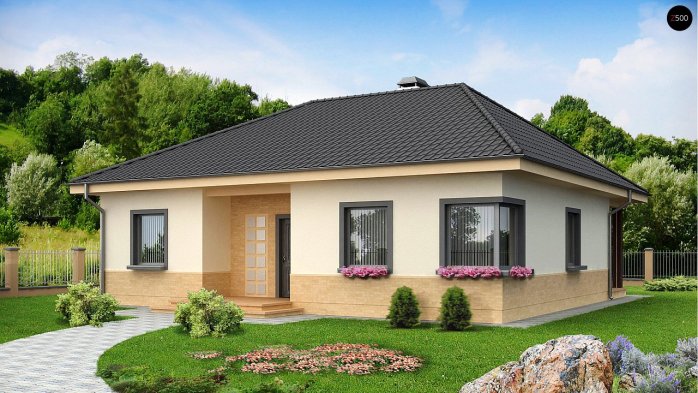 Проєкт будинку U24 - Одноповерхові дома в Україні