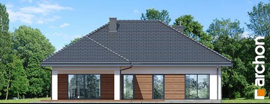 Проєкт будинку Будинок в жонкілях (В) - Одноповерхові дома в Україні