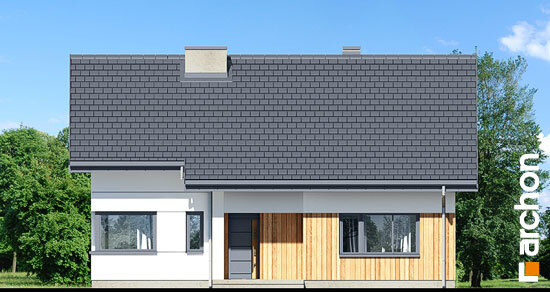 Проєкт будинку Будинок під липкою 2 - Одноповерхові дома в Україні