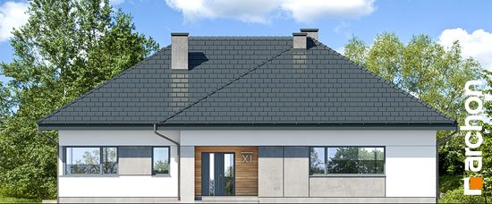 Проєкт будинку Будинок в підсніжниках 3 - Одноповерхові дома в Україні