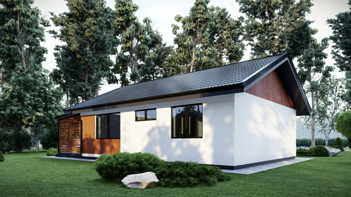 Проєкт будинку DBT 552 - Одноповерхові дома в Україні