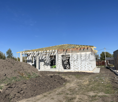 Одноповерховий будинок в с. Новоолександрівка (А)