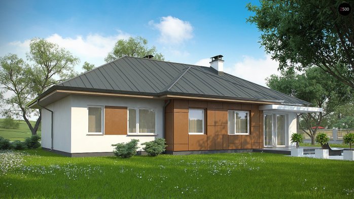 Проєкт будинку U307 - Одноповерхові дома в Україні