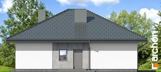 Проєкт будинку Будинок в хакетіях 6 - Одноповерхові дома в Україні