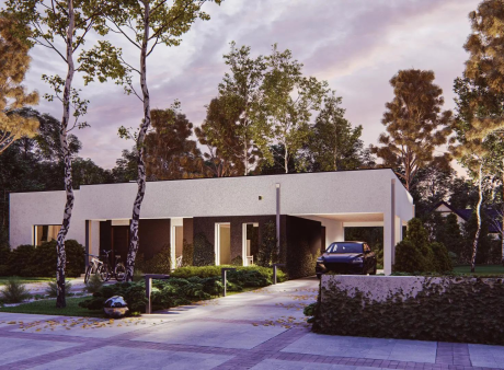 Проєкт будинку Ux270