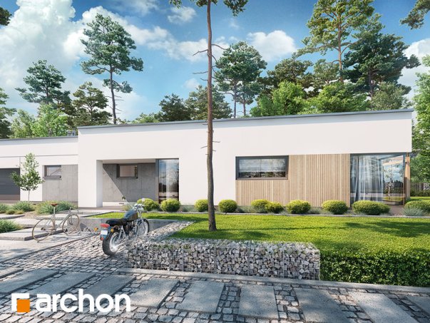 Проєкт будинку Будинок в хурмах 2 - Одноповерхові дома в Україні