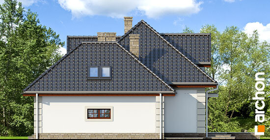 Проєкт будинку Будинок в нектаринах 3 вер.2 - З мансардним поверхом дома в Україні