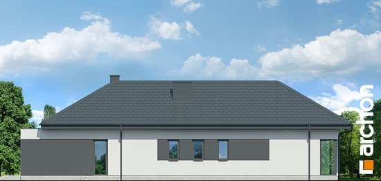 Проєкт будинку Будинок в галантусах (Г2) - Одноповерхові дома в Україні