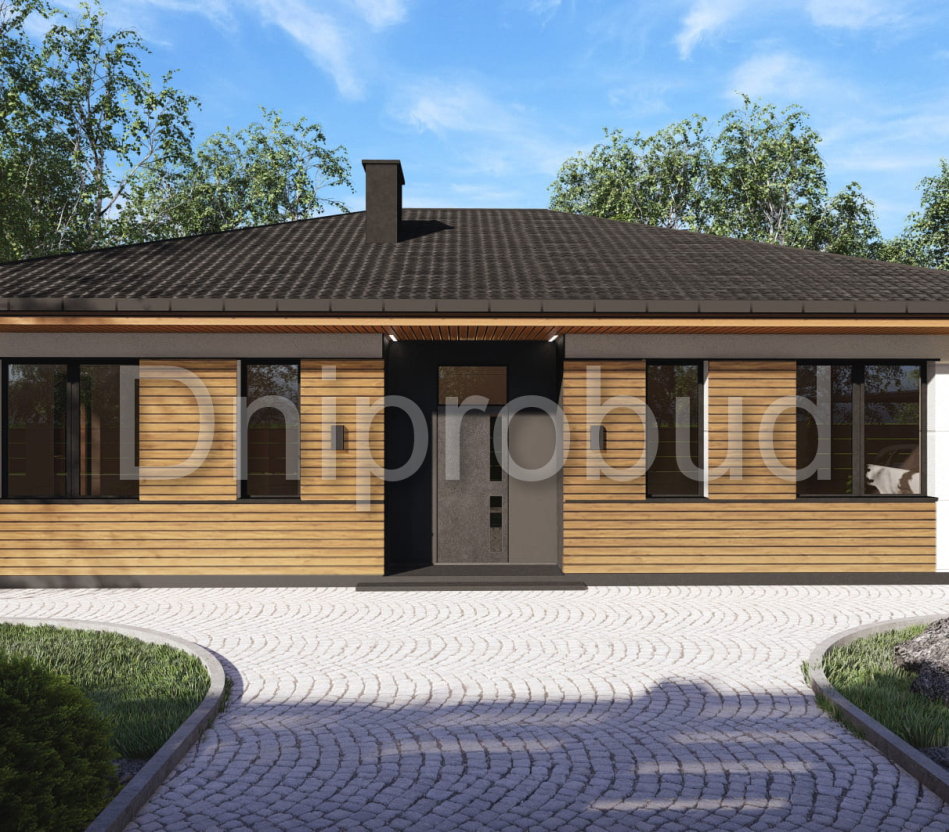 Одноэтажный дом в с. Магдалиновка