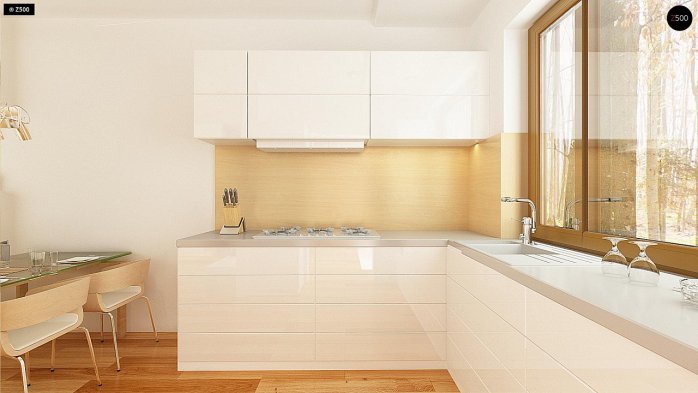 Проєкт будинку U262 - Одноповерхові дома в Україні