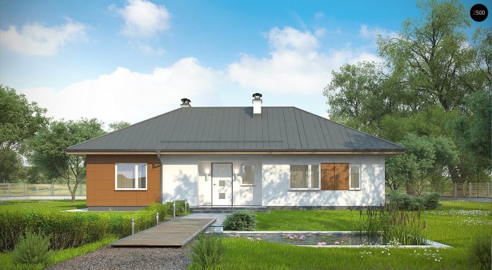 Проєкт будинку U307 - Одноповерхові дома в Україні