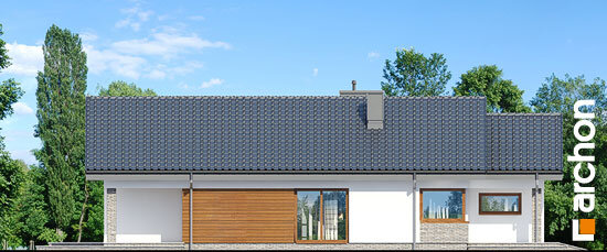 Проект дома Дом в лиредах - 4 Одноэтажные дома в Украине