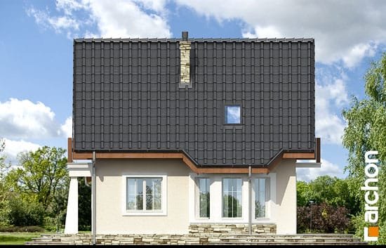 Проєкт будинку Будинок у винограді 2 вер.2 - З мансардним поверхом дома в Україні