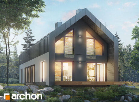 Проєкт будинку Будинок в женьшені (Г2П)