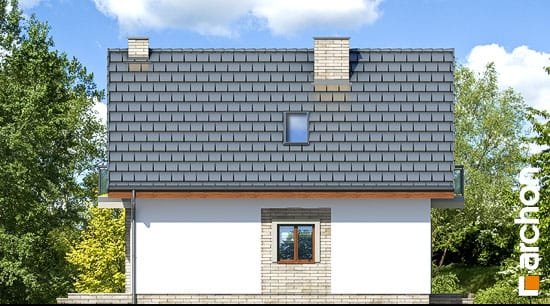 Проєкт будинку Будинок в сон-траві (А) - З мансардним поверхом дома в Україні