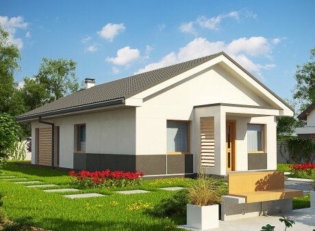 Проєкт будинку U329