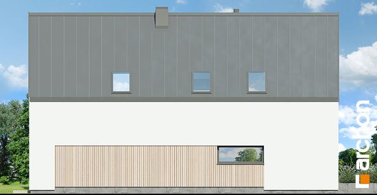 Проєкт будинку Будинок в папаверах - З мансардним поверхом дома в Україні