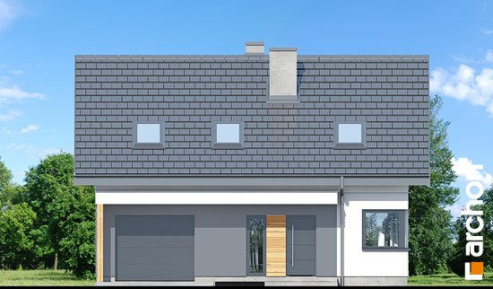 Проєкт будинку Будинок в брусниці (ГН) - З мансардним поверхом дома в Україні