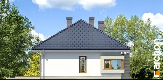 Проект дома Дом под красной рябиной 7 вер.2 - 5 Одноэтажные дома в Украине