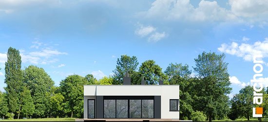 Проєкт будинку Будинок в пепероміях (Г2) - Одноповерхові дома в Україні