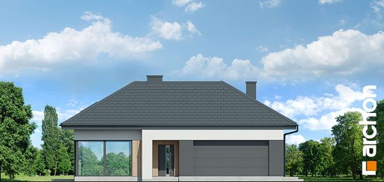 Проєкт будинку Будинок в галантусах (Г2) - Одноповерхові дома в Україні