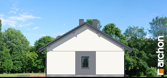 Проект дома Дом в сурфиниях 2 - 4 Одноэтажные дома в Украине