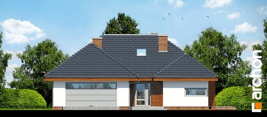 Проект дома Дом в хеномелесе 2 - 3 Одноэтажные дома в Украине