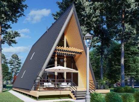 Проєкт будинку DBT 460