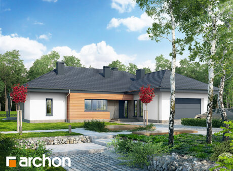 Проєкт будинку Будинок в ісменах (Г2)