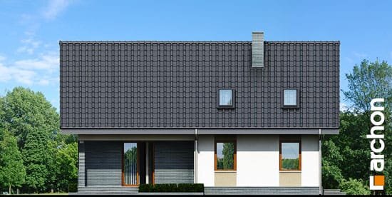 Проект дома Дом в спатифиллуме вер.2 - 6 С мансардным этажом дома в Украине