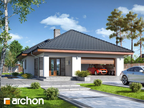 Проект дома Дом в андромедах (Г2) - 1 Одноэтажные дома в Украине