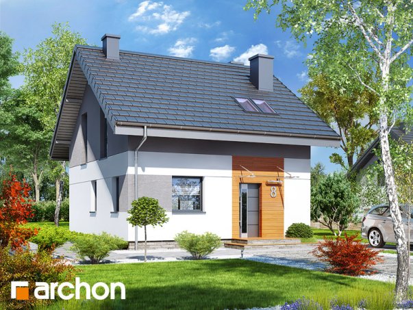 Проєкт будинку Будинок в аркадії - З мансардним поверхом дома в Україні