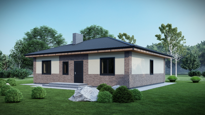 Проект дома DBT 669 - 1 Одноэтажные дома в Украине