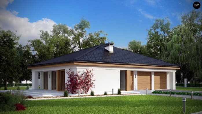 Проєкт будинку U196 - Одноповерхові дома в Україні