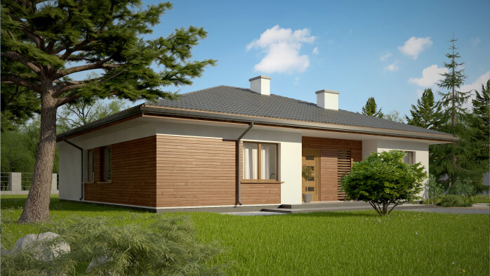 Проєкт будинку U321 v1 - Одноповерхові дома в Україні