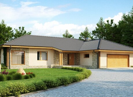 Проєкт будинку U81